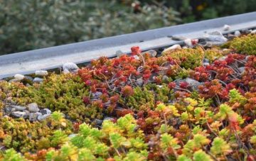 the cost of Bracky green roof installation