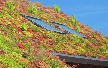 Bracky living roof systems