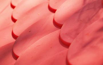 Bracky plastic roof costs