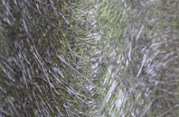 Bracky fibreglass roof work