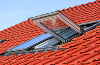 Bracky roof window